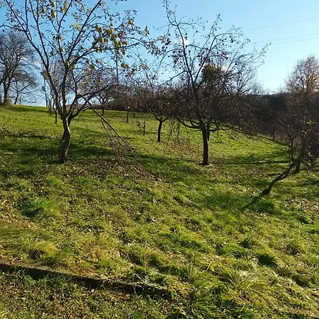 Evetes Holiday home