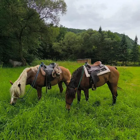 Prázdninový dům Evetes *