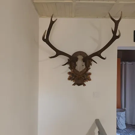 Evetes Prázdninový dům