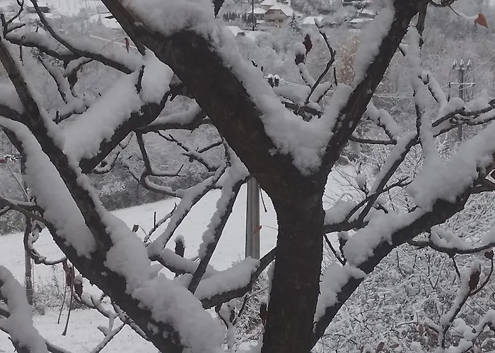 度假居 Evetes Jablonov nad Turnou