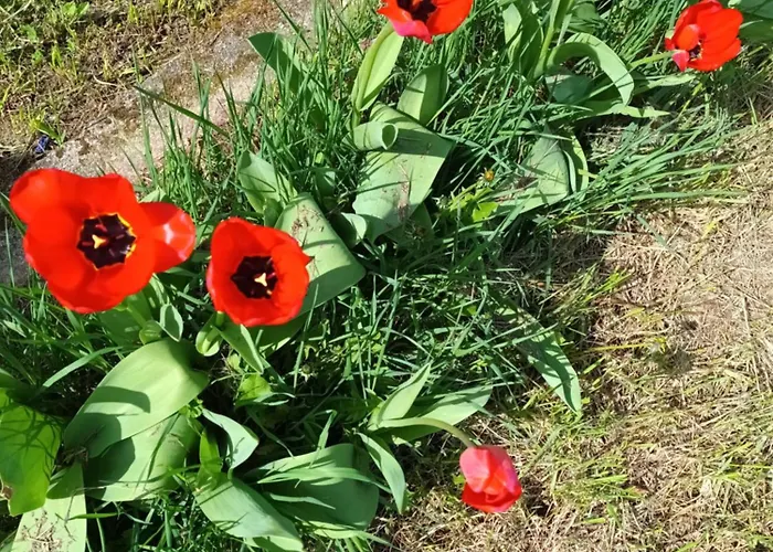 Evetes Дом отдыха *